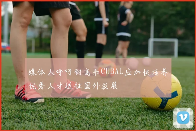 媒体人呼吁耐高和CUBAL应加快培养优秀人才送往国外发展