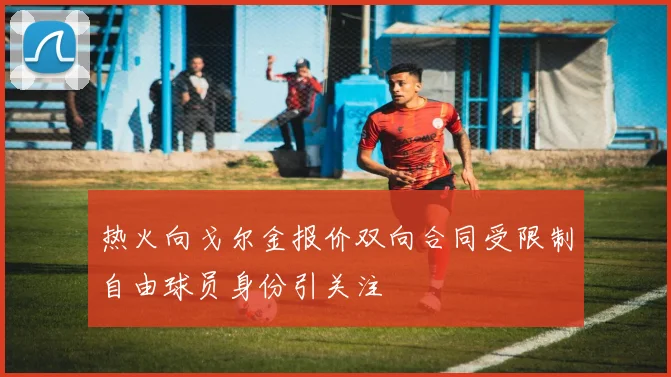 热火向戈尔金报价双向合同受限制自由球员身份引关注