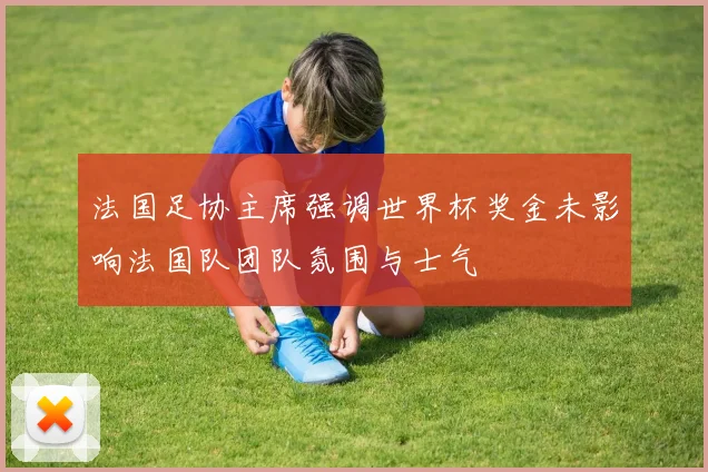 法国足协主席强调世界杯奖金未影响法国队团队氛围与士气